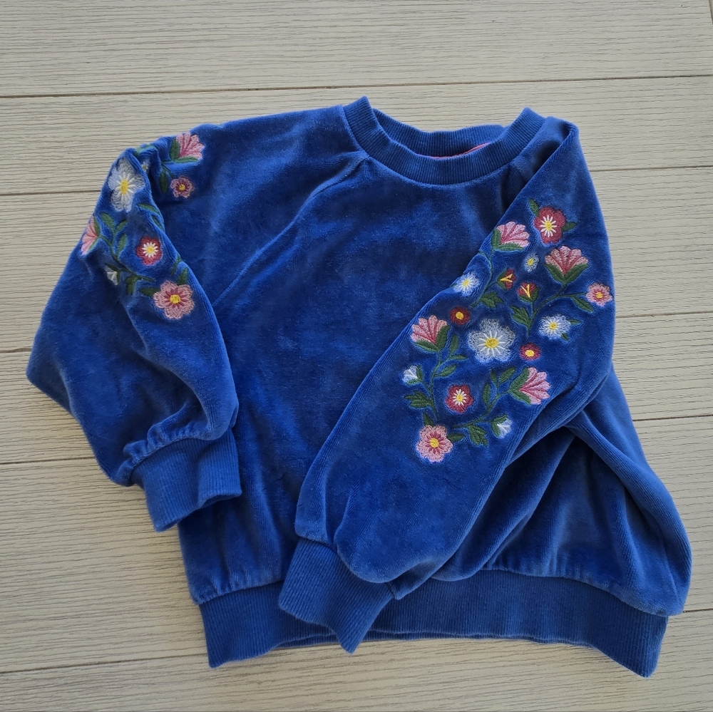 Mini Boden Velour Embroidered Blue Floral Sweatshirt (4/5)